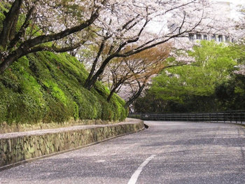 a0055913_749227.gif