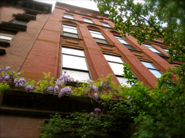 c0120817_128404.jpg
