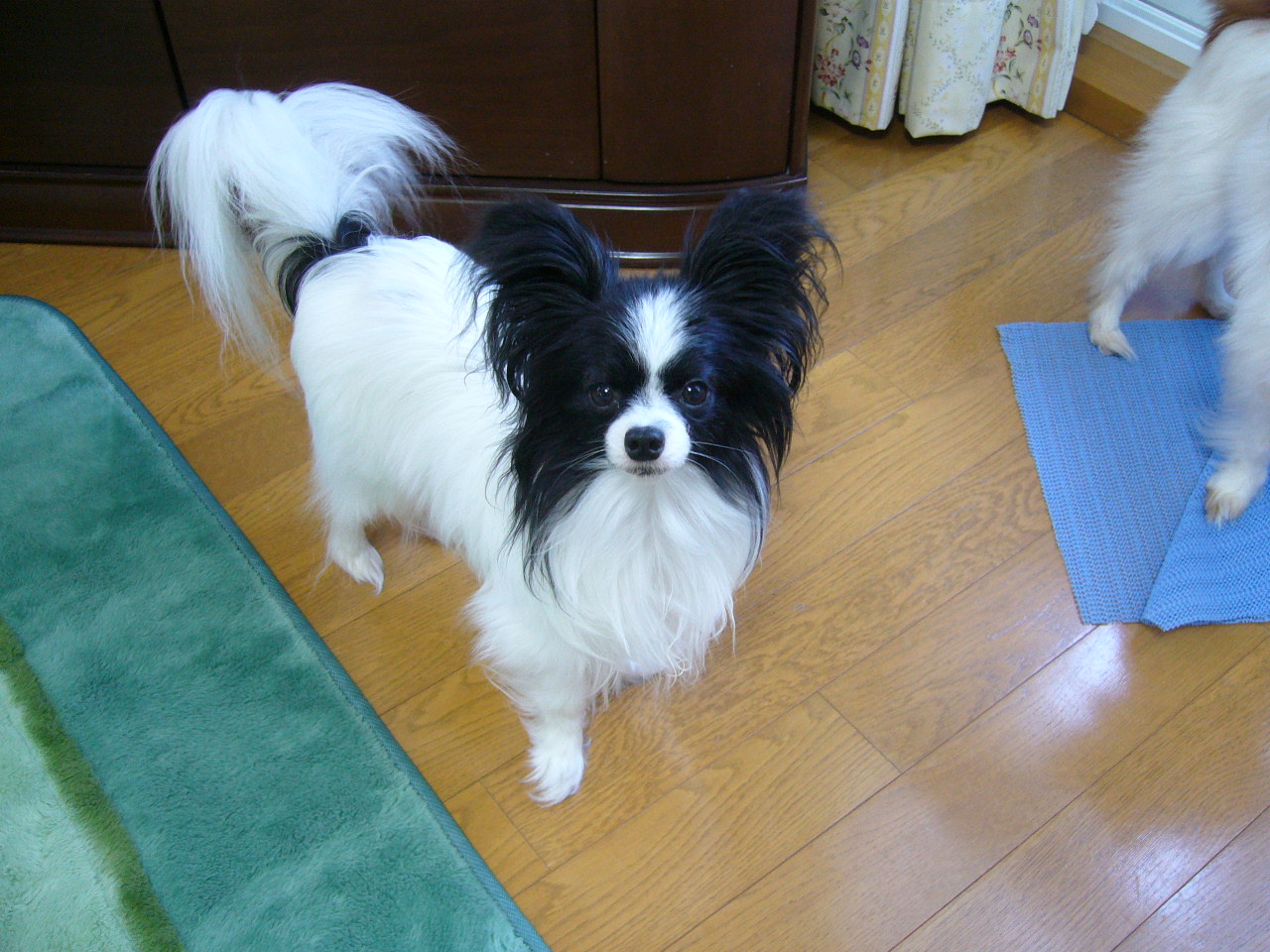 f0135021_1755131.jpg