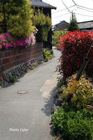 f0078127_746316.jpg