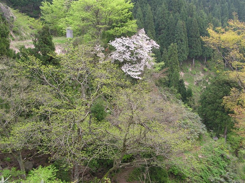 e0121329_22522164.jpg