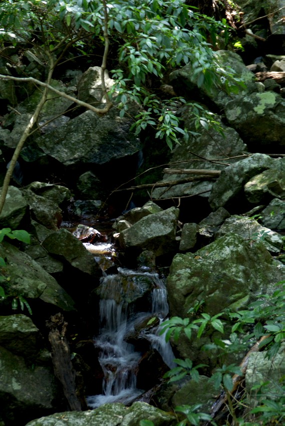 d0053930_17181465.jpg