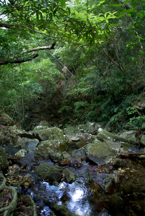 d0053930_17184578.jpg