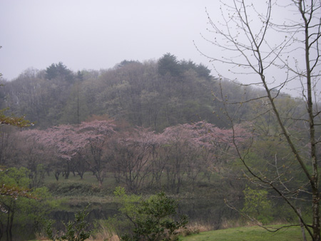 e0008833_11263266.jpg