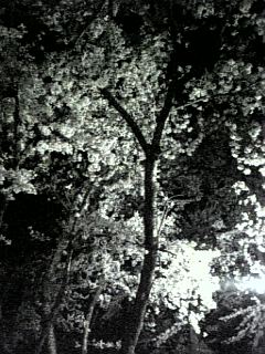 f0019234_22461199.jpg