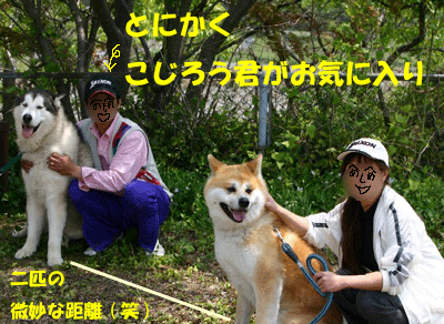 f0008935_14515215.gif