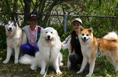 f0008935_14555171.gif
