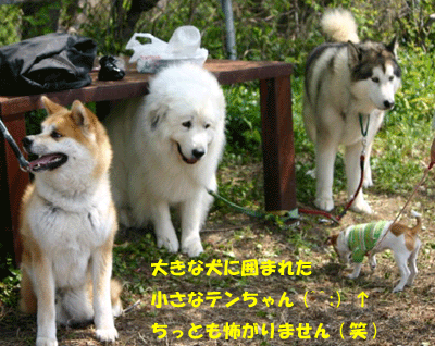 f0008935_1456529.gif