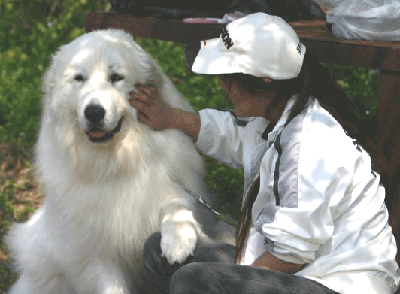 f0008935_153843.gif
