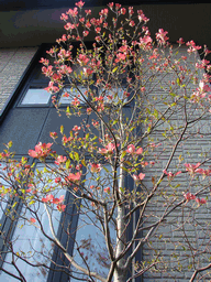 c0136736_20413347.gif