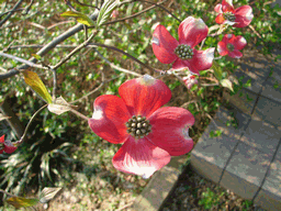 c0136736_2043111.gif