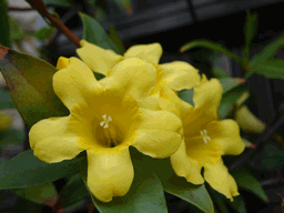 c0136736_20474927.gif