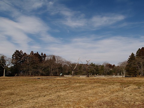 b0016043_11584926.jpg