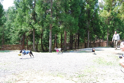 e0126046_1454395.jpg