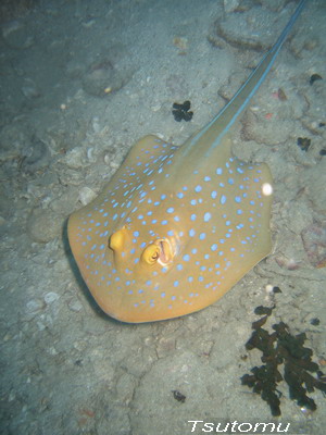 e0027447_1995354.jpg