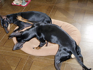 c0123149_13153114.jpg