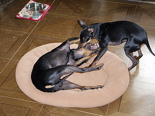 c0123149_1323278.jpg