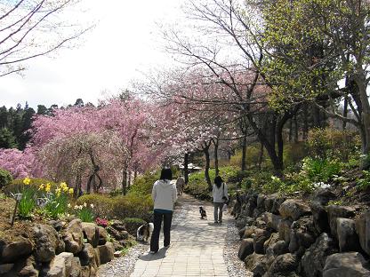c0145250_1245325.jpg