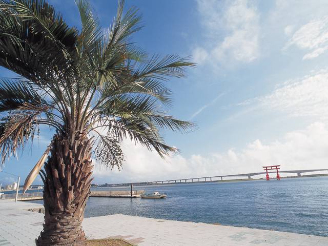 a0021651_21401626.jpg