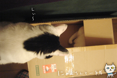 e0031853_124597.jpg