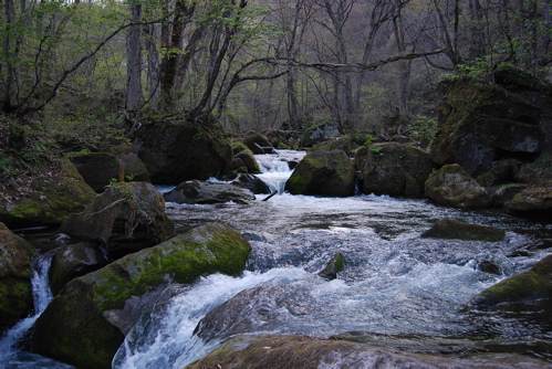 f0151254_11274222.jpg