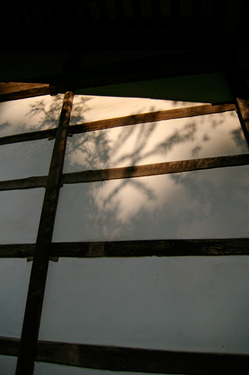 d0100156_19522787.jpg