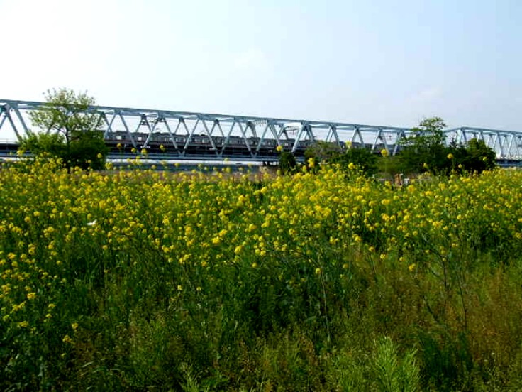 e0129656_21264882.jpg