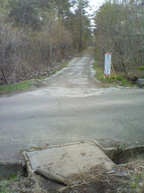 a0096557_0111619.jpg