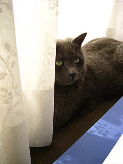 a0021558_21124359.jpg