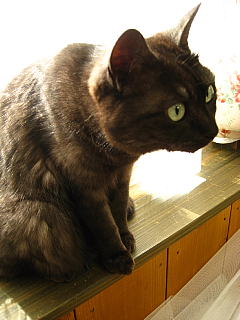 a0021558_2193782.jpg