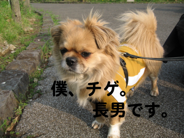 a0101958_1521529.jpg