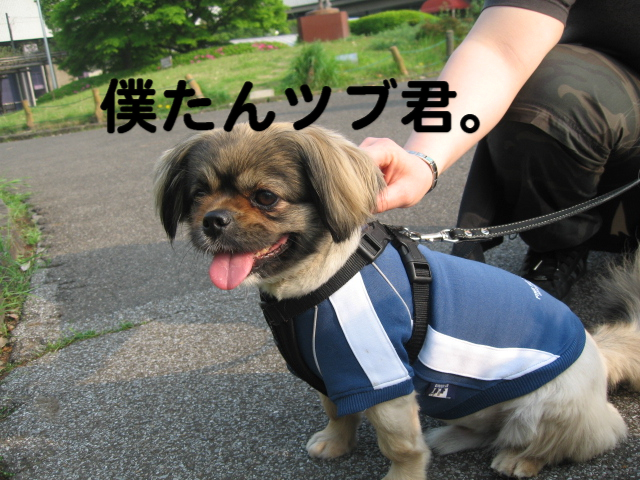 a0101958_1522821.jpg