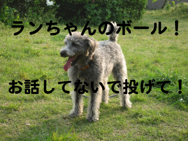 a0101958_1525680.jpg