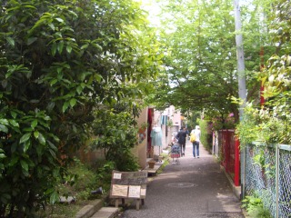 e0131959_1610795.jpg