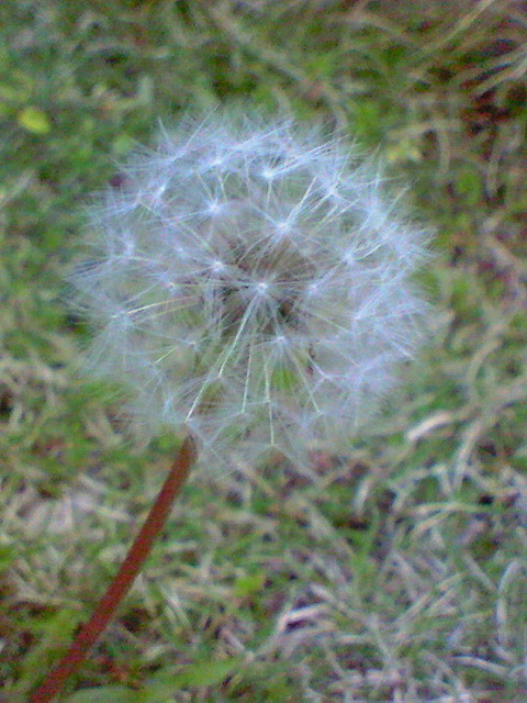e0009760_12533450.jpg