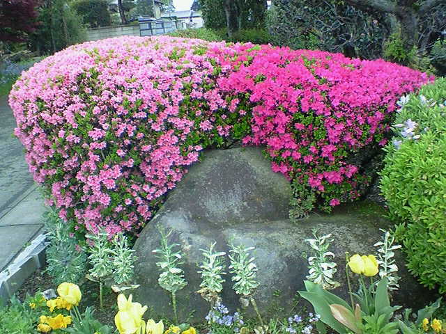 e0009760_12533547.jpg
