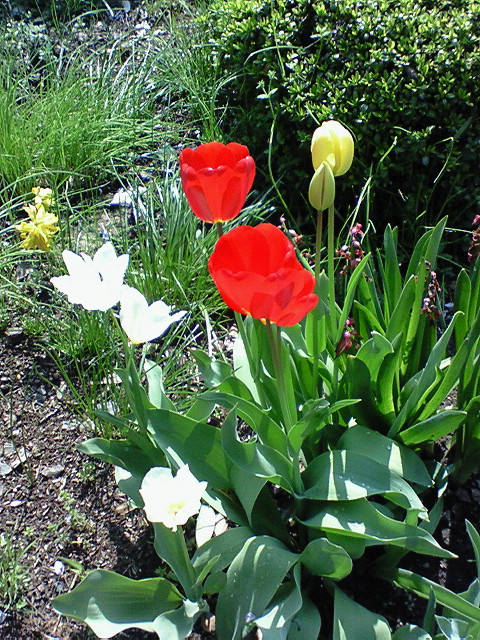 e0009760_12533581.jpg