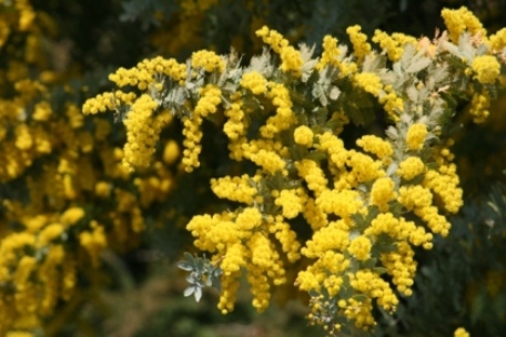 b0138661_105449.jpg