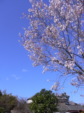b0138661_923317.jpg