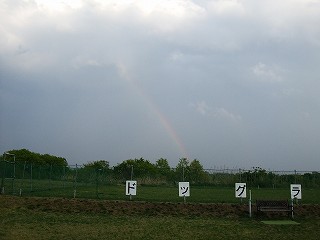 a0104162_21521970.jpg