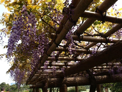 c0102268_1146979.jpg
