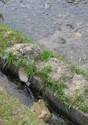e0041168_9381425.jpg
