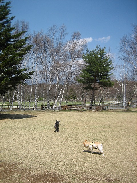 a0104569_2040376.jpg