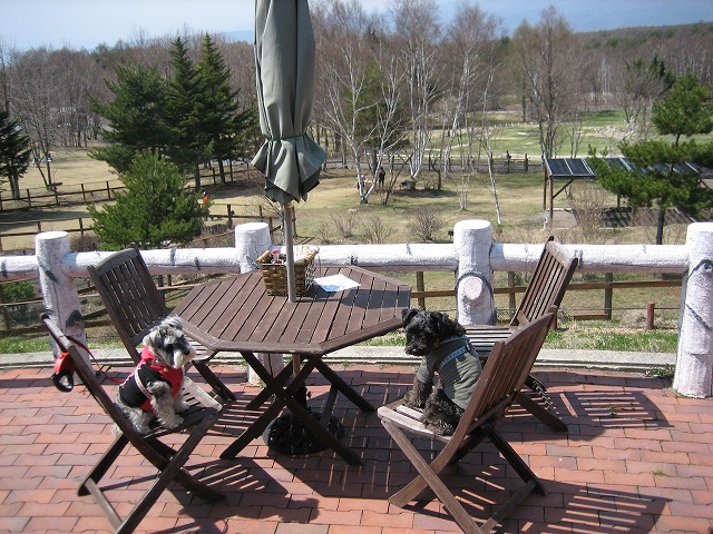 a0104569_20463651.jpg