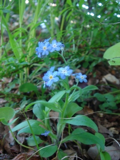c0135480_136553.jpg