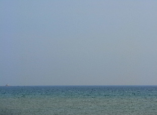 d0080882_19563116.jpg