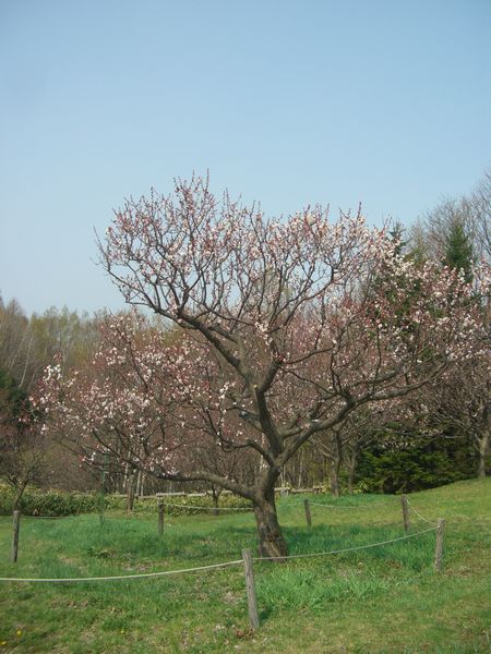 b0000885_6582625.jpg