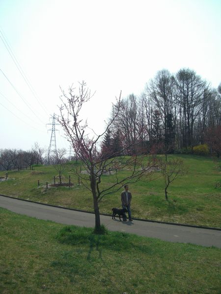 b0000885_6592723.jpg