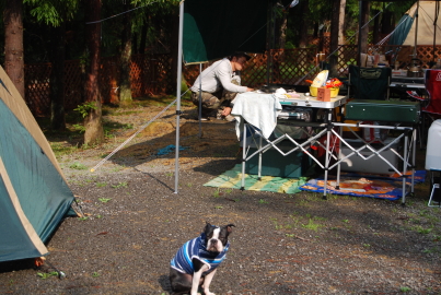 c0092787_11141181.jpg