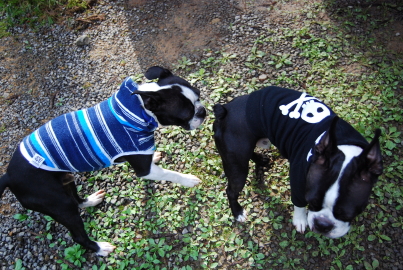c0092787_11171322.jpg
